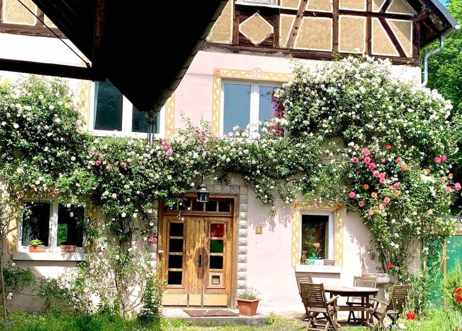 Kleine Kunstremise Mit Holzofen Burg Freienfels Apartment Weinbach Bagian luar foto